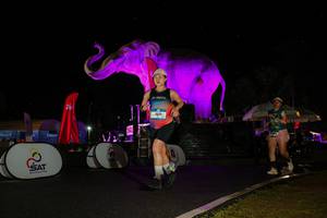 BIB: 
                            <button type="button" onclick="openModal(26543628)" class="btn btn-primary btn-sm float-right btn-popup" data-toggle="modal" data-target=".modal-high-quality">
                        <i class="fas fa-shopping-cart"></i> Add to Cart
                    </button>
                                            <button type="button" onclick="isThisMe(26543628, true)" class="btn btn-success btn-sm float-right btn-popup btn-isme hidden" data-toggle="tooltip" data-placement="bottom" title="นี่คือรูปของคุณใช่ไหม คลิกที่นี่เพื่อเอาเข้าอัลบั้ม">
                        <i class="fas fa-plus"></i> Add to album
                    </button>
                    <button type="button" onclick="isThisMe(26543628, false)" class="btn btn-warning btn-sm float-right btn-popup btn-isnotme hidden">
                        <i class="fas fa-ban"></i> Remove from album
                    </button>